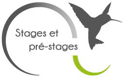 Pictogramme - Stages et pré-stage - École spécialisée : Les colibris