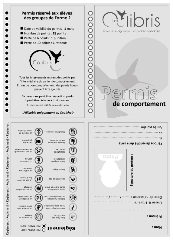 Représentation du permis de comportement du Saulchoir - Les Colibris - David Bariseau