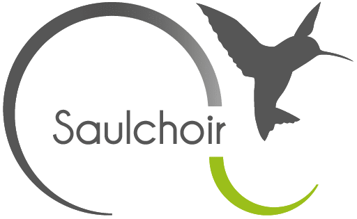 Le Saulchoir - École d'Enseignement Secondaire Spécialisé