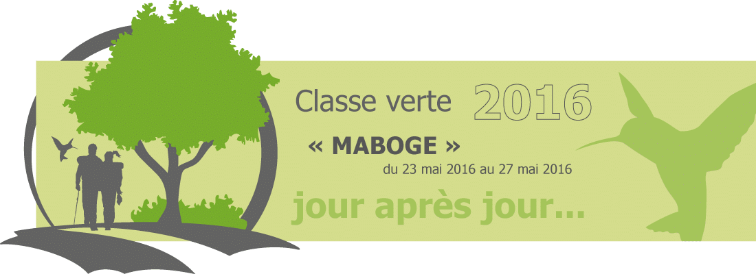 Bannière des articles de la classe verte - Maboge 2016