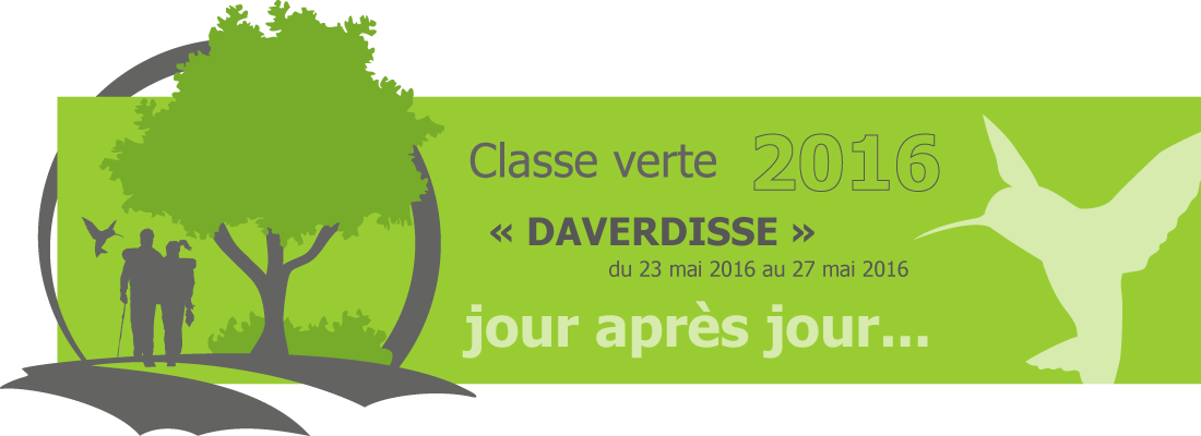 Classe verte « Daverdisse 2016 » - Jour après jour - Mardi 24 mai