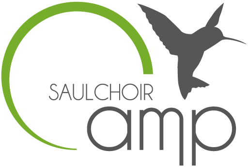 Pictogramme "Camp" - Classes vertes - École spécialisée "Les colibris"