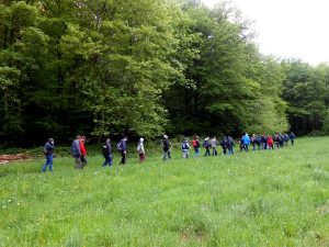 Photo des élèves de la classe verte "Daverdisse 2016"