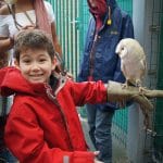 Fête scolaire 2015-2016 - Étincelle - Les Colibris