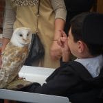 Fête scolaire 2015-2016 - Étincelle - Les Colibris