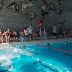 Photo de la compétition de natation 2017 - Les Colibris