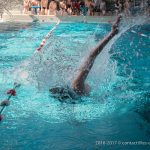 Photo de la compétition de natation 2017 - Les Colibris