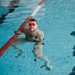 Photo de la compétition de natation 2017 - Les Colibris