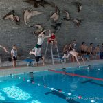 Photo de la compétition de natation 2017 - Les Colibris