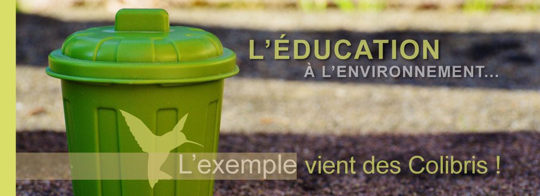 L’éducation au respect de l'environnement … L’exemple vient des Colibris !