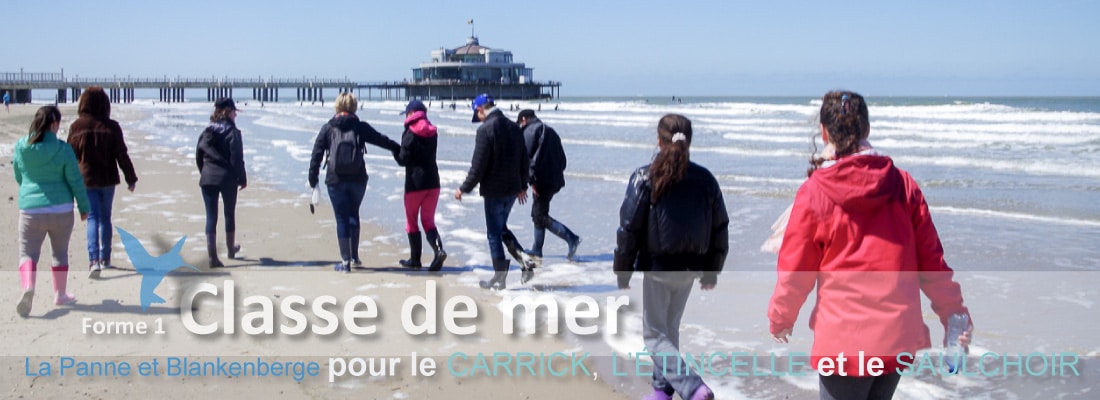 Classe de mer 2016-2017 - Blankenberge - La Panne - Forme 1 - Les Colibris