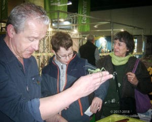 Des élèves du Saulchoir visitent le salon Déco & Jardin à Tournai Expo
