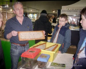 Des élèves du Saulchoir visitent le salon Déco & Jardin à Tournai Expo