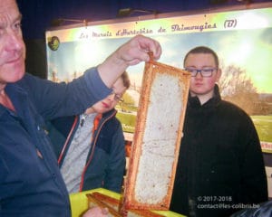 Des élèves du Saulchoir visitent le salon Déco & Jardin à Tournai Expo