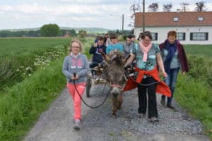 Promenade en calèche à la ferme des Aulnes