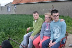 Promenade en calèche à la ferme des Aulnes