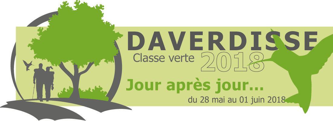 Classe verte « Daverdisse 2018 » - Jour après jour - Mardi 29 mai