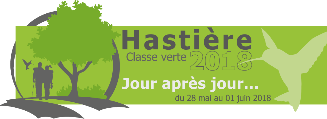 Classe verte « Hastière 2018 » - Jour après jour - Jeudi 31 mai