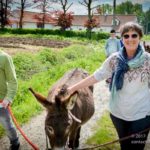 Deux promeneurs avec un âne