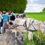 L'âne fait une pause