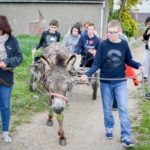 Marche avec les ânes