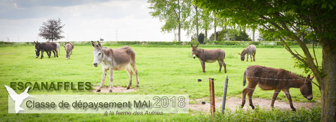 Classe de dépaysement du Saulchoir à La Ferme des Aulnes d'Escanaffles