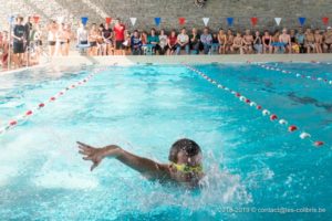 La compétition de natation des Colibris 2019