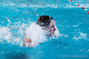 La compétition de natation des Colibris 2019